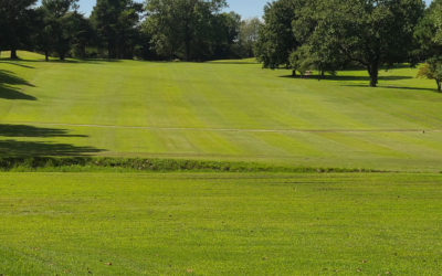 Prioritizing our greens: a commitment to excellence