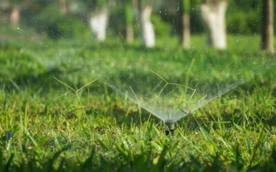 Enhancing Our Greens: New Partnership with SiteOne Landscape Supply